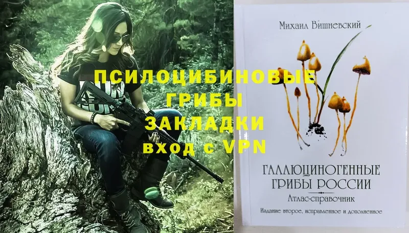 даркнет сайт  Мончегорск  Галлюциногенные грибы Psilocybe 